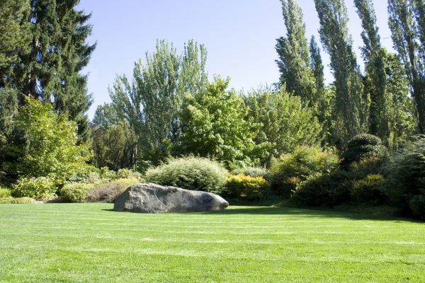 Yard Enlargement in Carson City