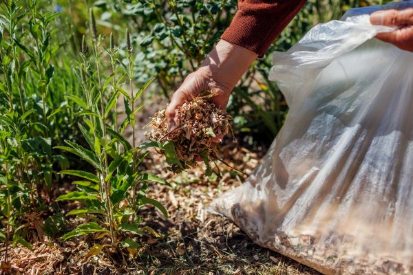 Wood Mulch Installation in Carson City
