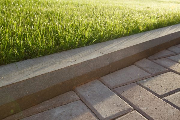 Lawn Edging Replacement in Carson City