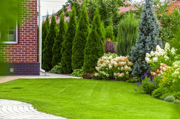Spring Landscaping in Carson City