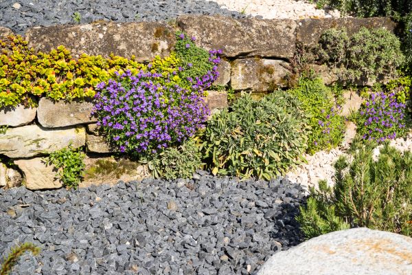 Landscaping Rocks Installation in Carson City