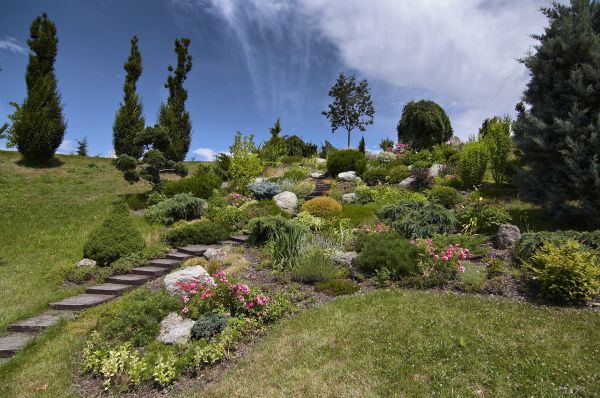 Steep Terrain Landscaping in Carson City