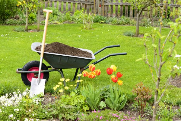 Spring Yard Renovation in Carson City