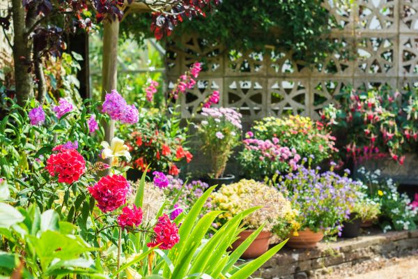 Spring Garden Maintenance in Carson City