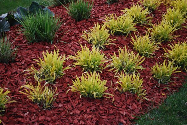 Red Mulch Installation in Carson City
