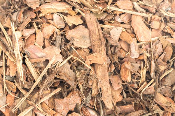 Bark Mulch Installation in Carson City