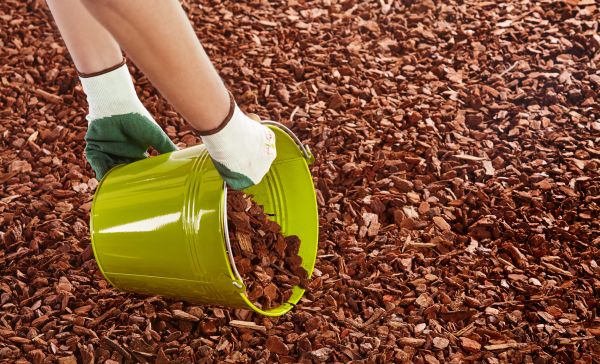 Wood Chip Landscaping in Carson City