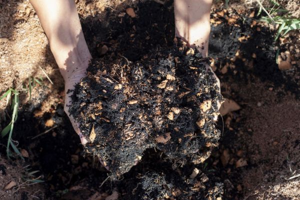 Organic Mulch Installation in Carson City