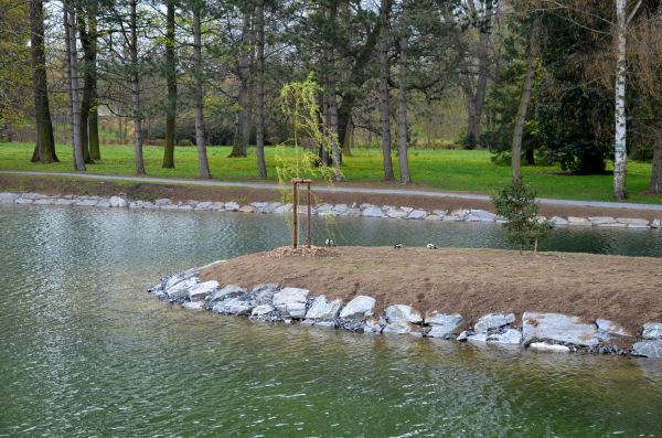Pond Landscaping Service in Carson City