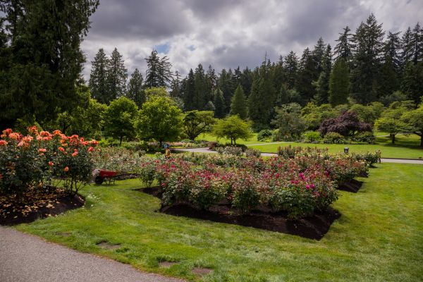 Flower Garden Landscaping in Carson City
