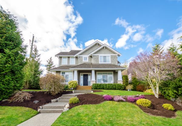 Landscaping Replacement in Carson City