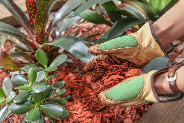 Residential Mulching in Carson City