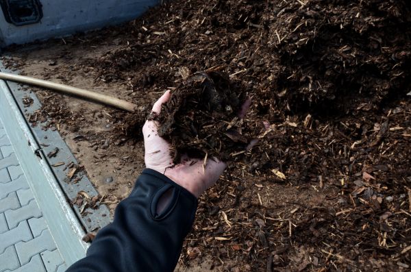Condo Mulching in Carson City