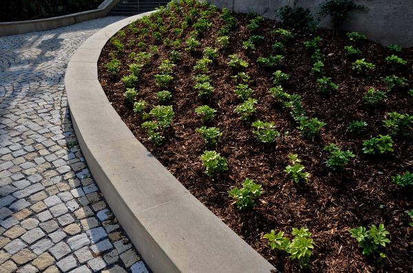 Commercial Mulching in Carson City