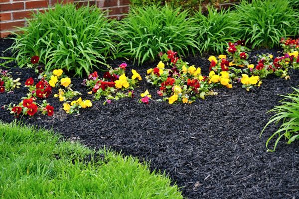 Apartment Mulching in Carson City